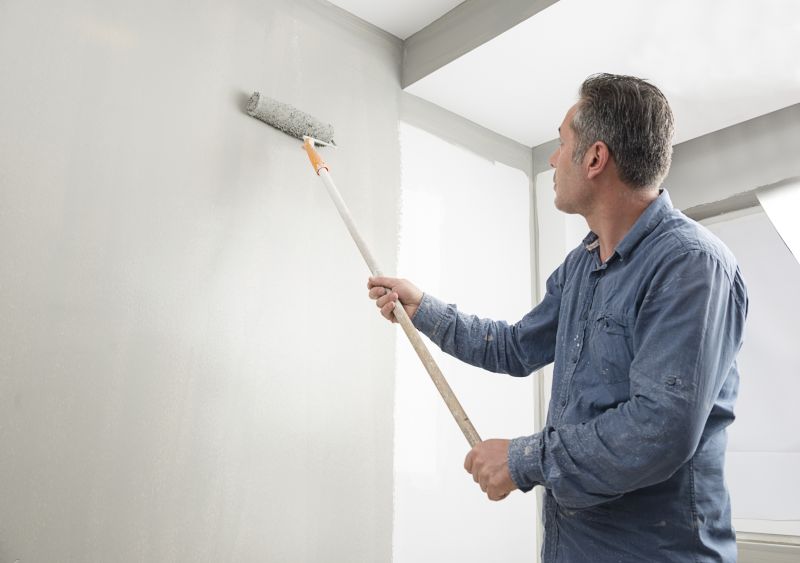 Cladding Painting in Fort Collins, CO