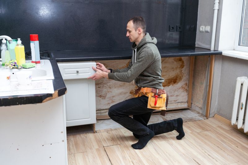 Kitchen Cabinet Restoration